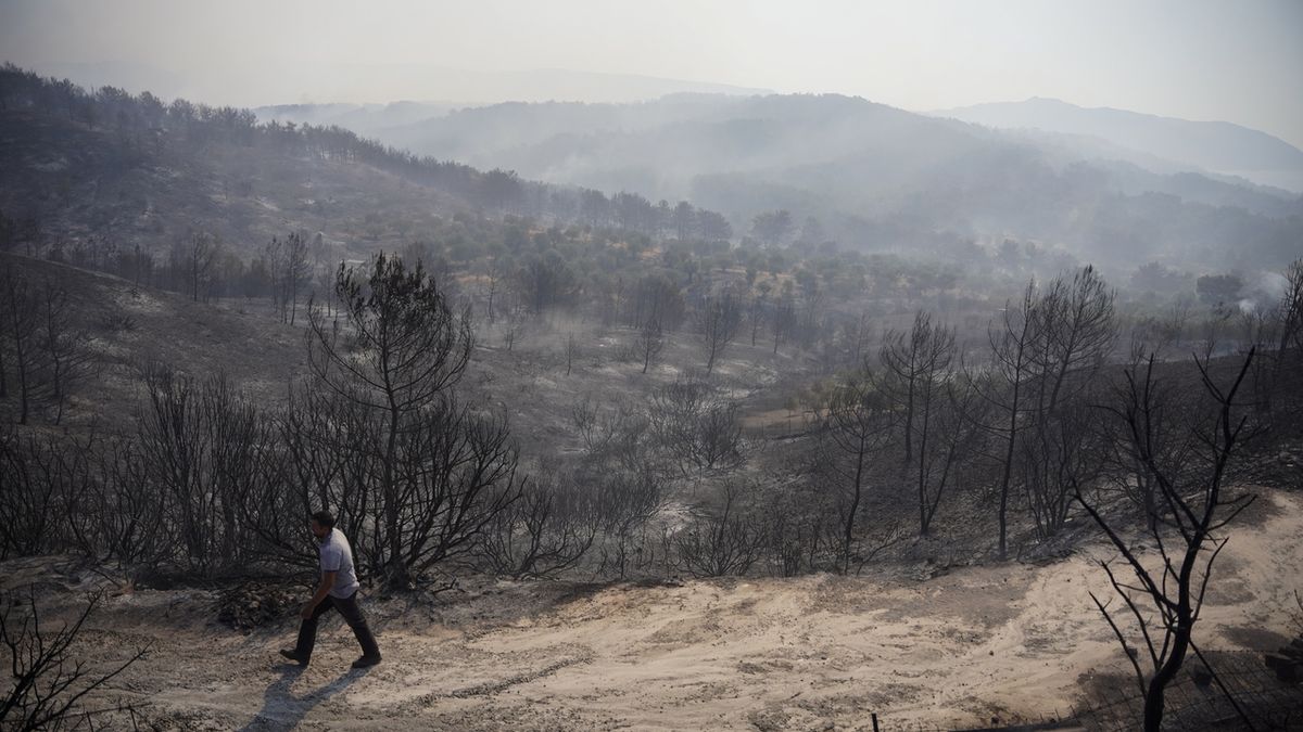 V Řecku hoří národní park. Kvůli požárům evakuovali už stovky turistů